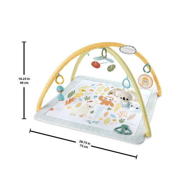אוניברסיטה ניובורן עם 6 צעצועיים חושיים Fisher Price