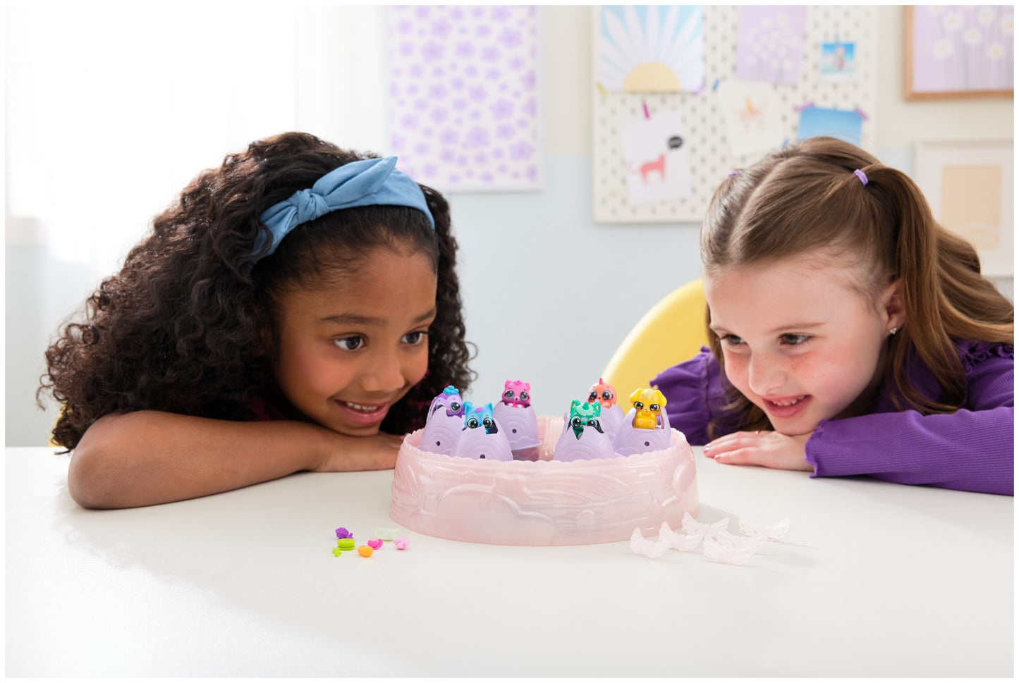 האצימל מדגרה קשת בענן