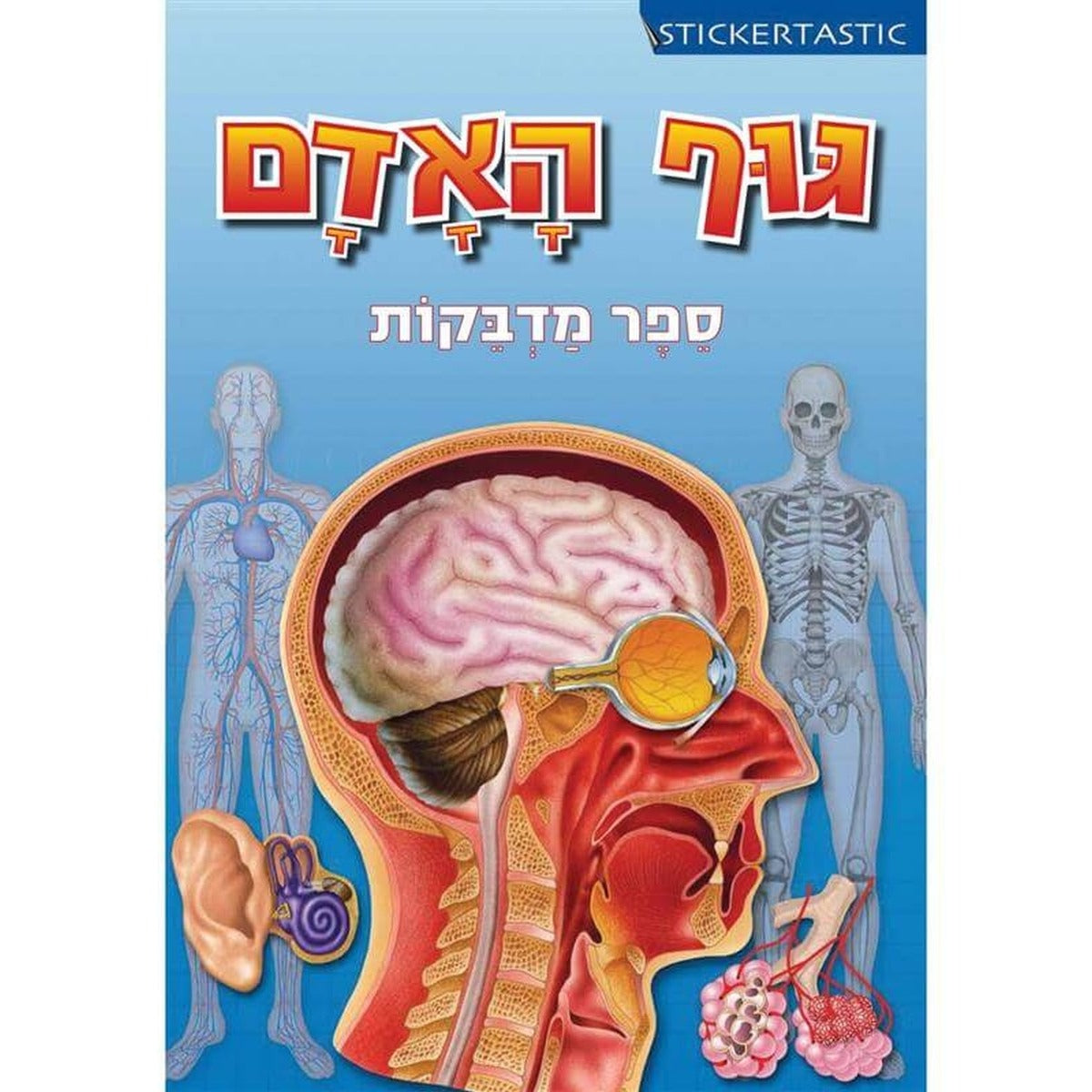 ספר מדבקות -גוף האדם