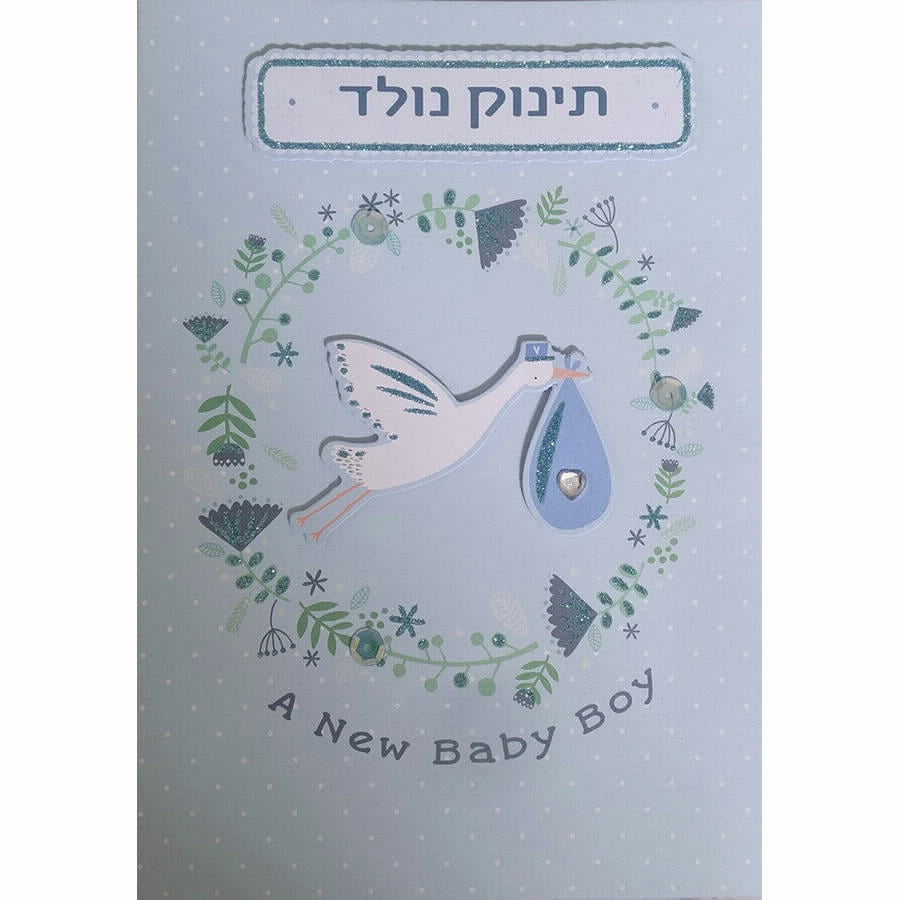כ ב SN הולדת בן חסידה
