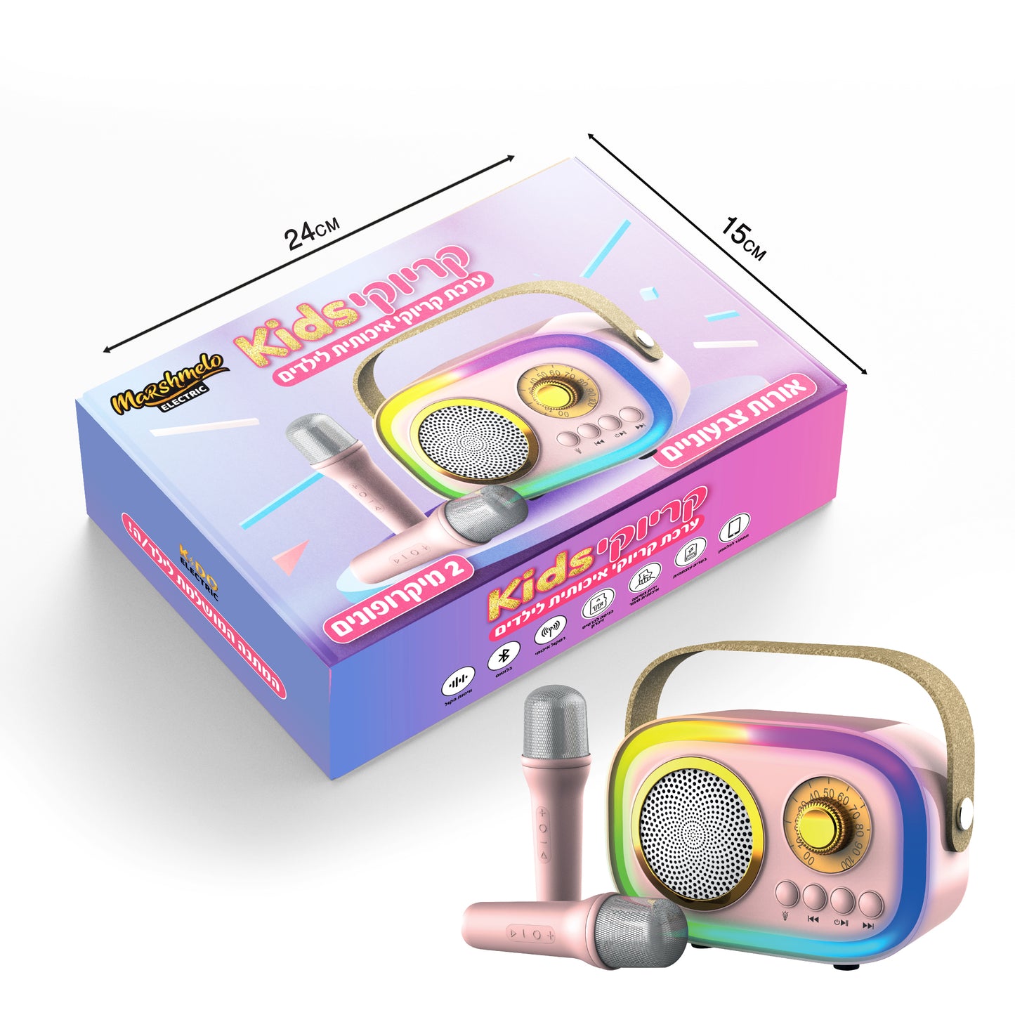 Karaoke Kit 2 Microphones - Pink