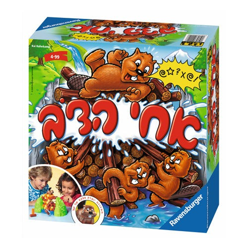 Brother Bear Hebrew