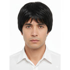 Black men's wig
