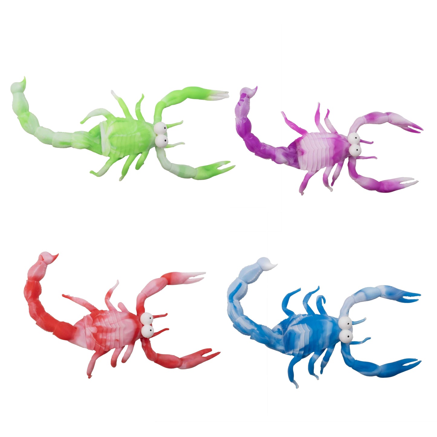 סמי העקרב סקוושי