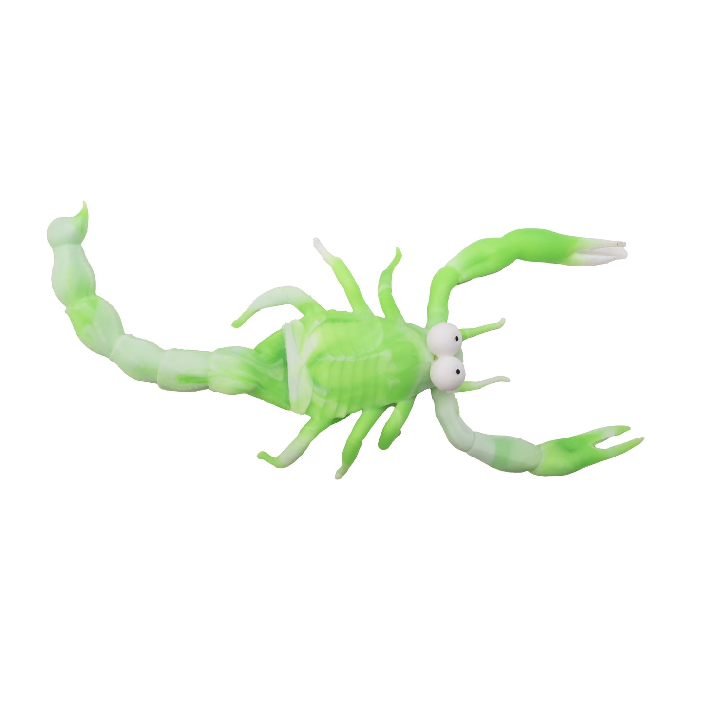 סמי העקרב סקוושי