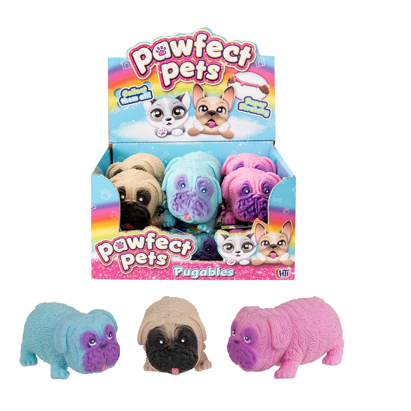 כלב פאג קטן סקוושי