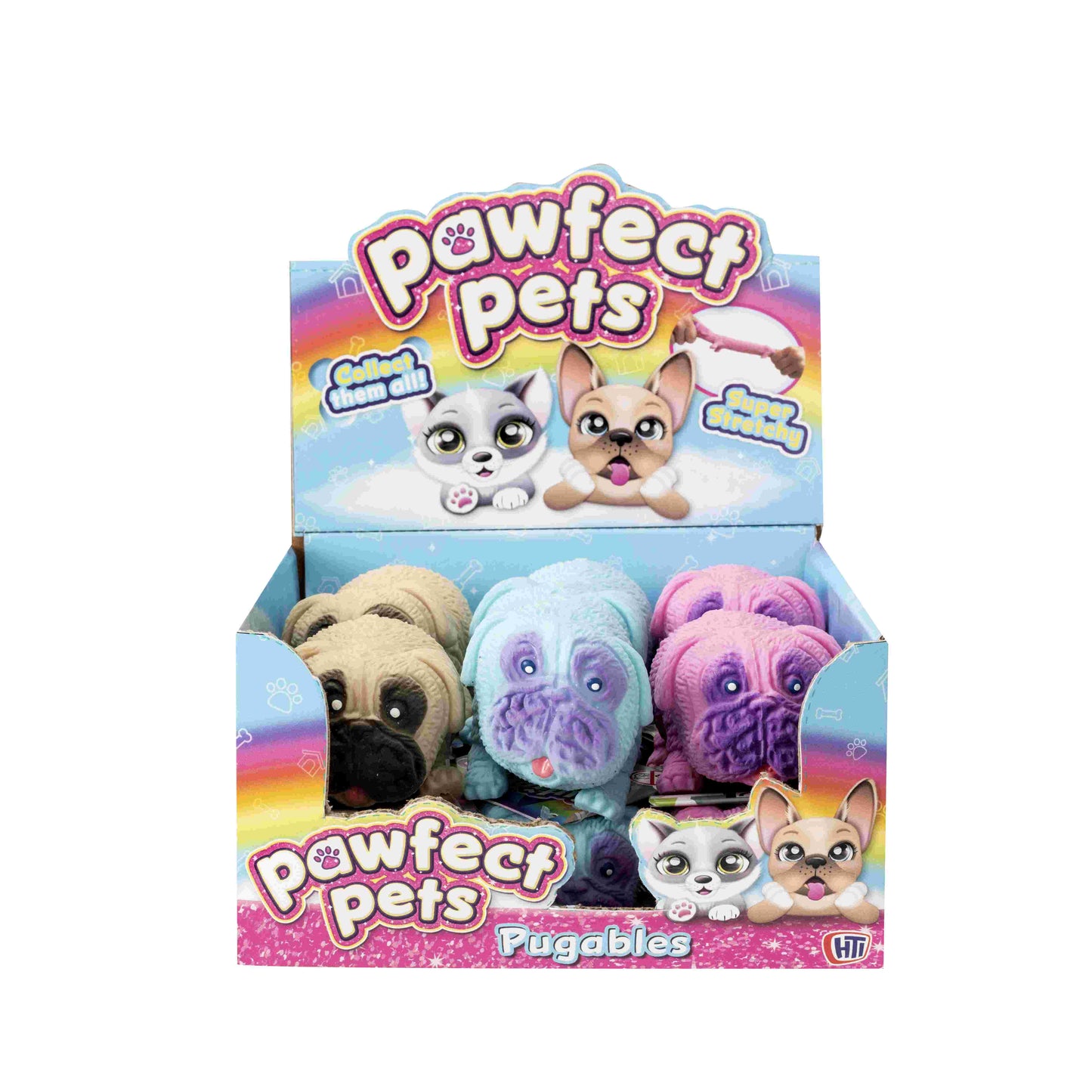 כלב פאג קטן סקוושי