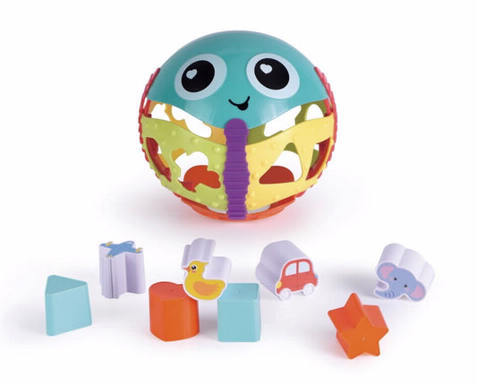 כדור פעילות צורות חיות וכלי תחבורה