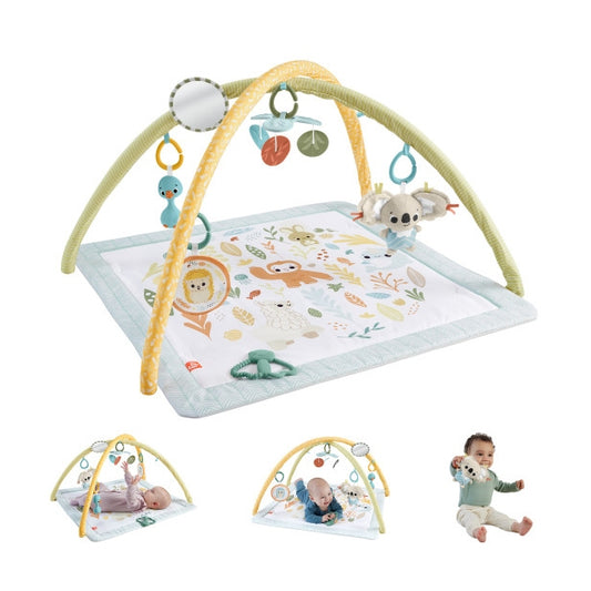אוניברסיטה ניובורן עם 6 צעצועיים חושיים Fisher Price
