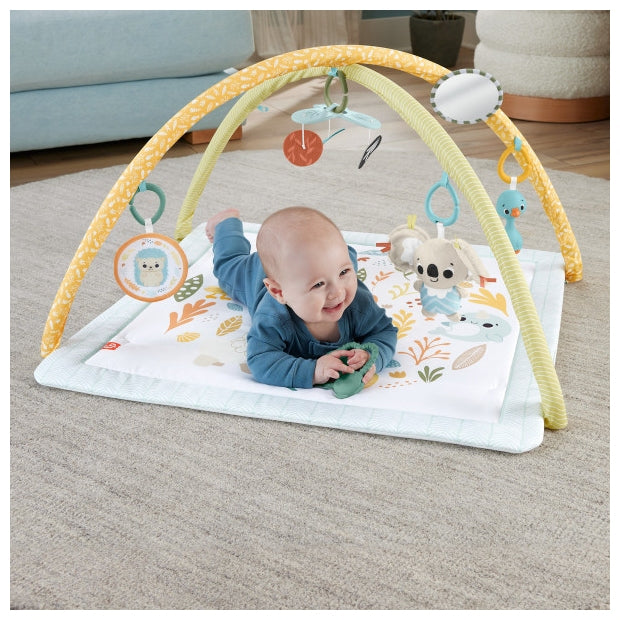 אוניברסיטה ניובורן עם 6 צעצועיים חושיים Fisher Price