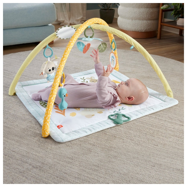 אוניברסיטה ניובורן עם 6 צעצועיים חושיים Fisher Price