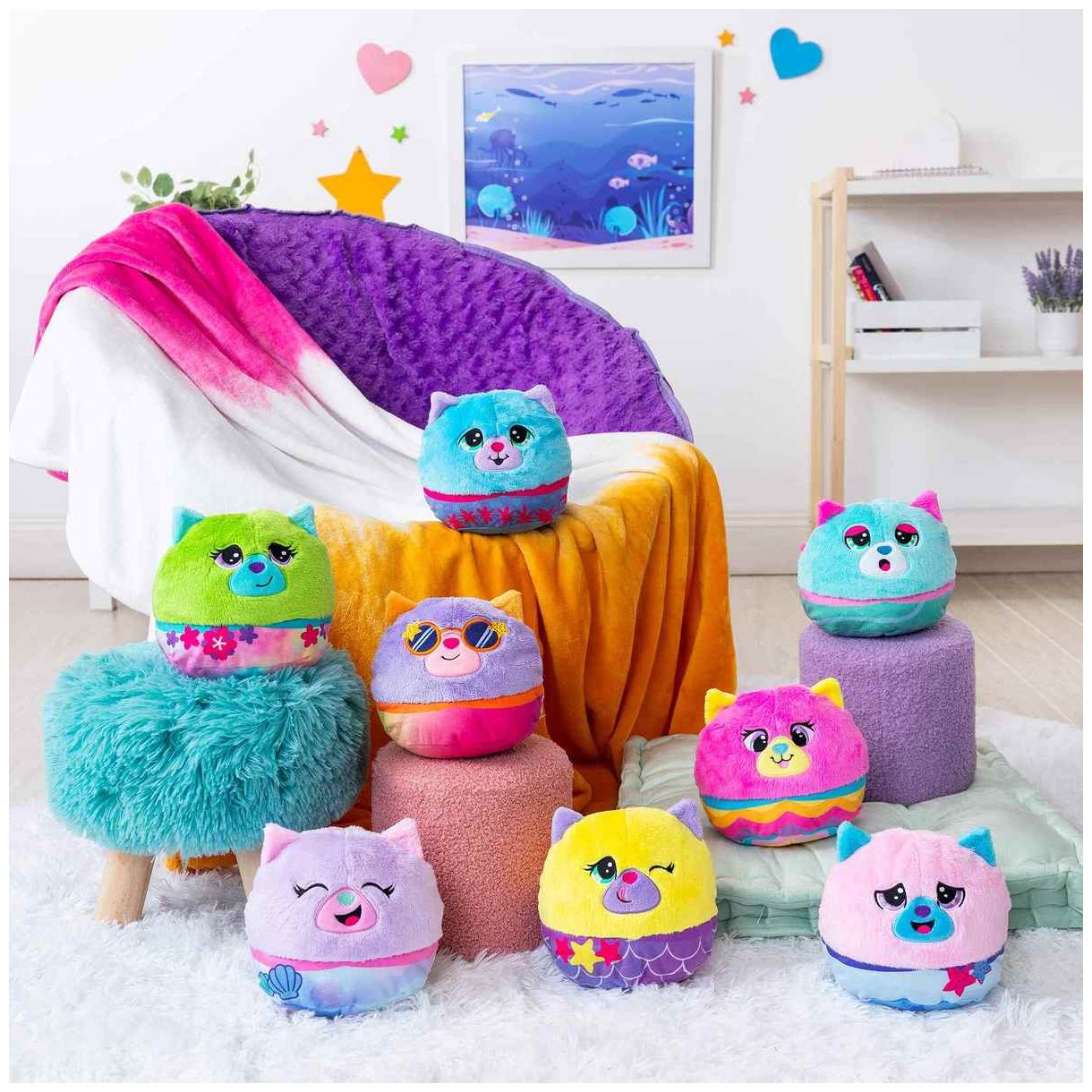 מיספיטנס חתולים דגיגונים