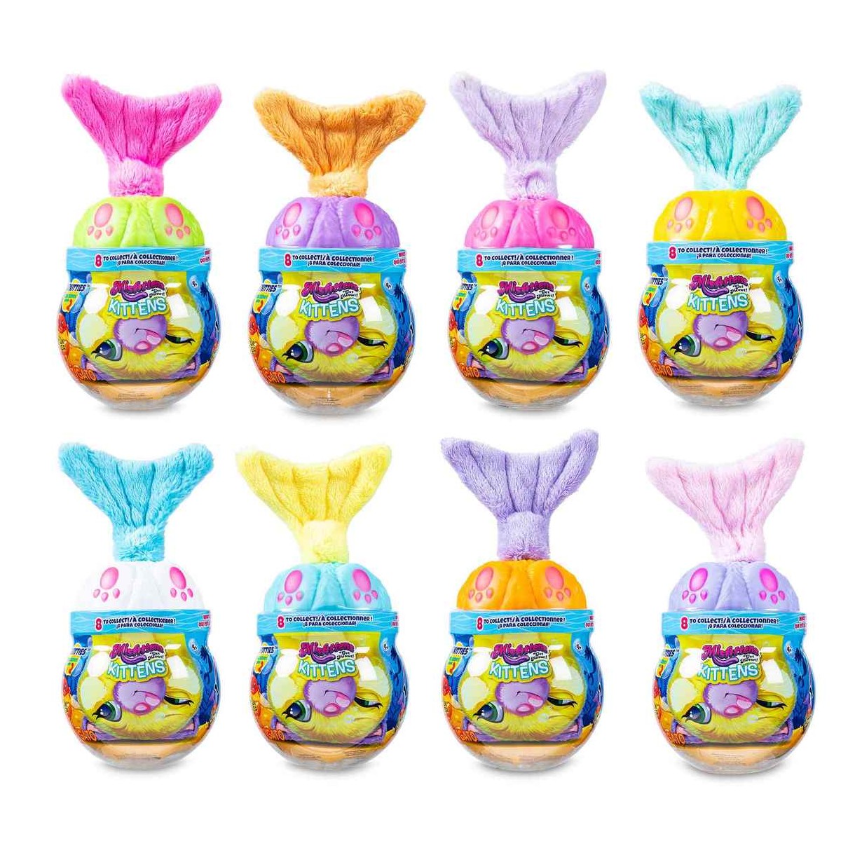 מיספיטנס חתולים דגיגונים