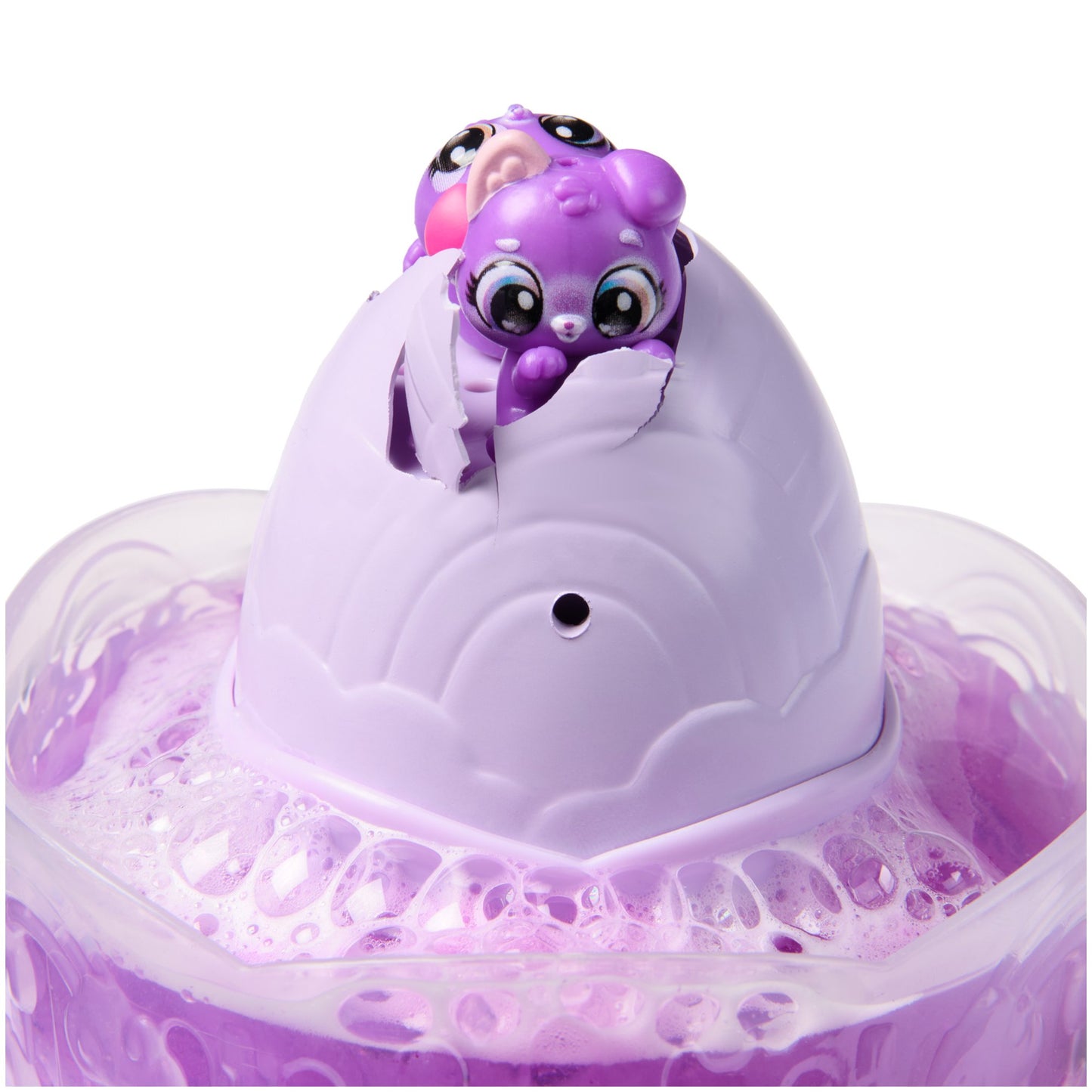 האצימל אריזת זוג קשת בענן