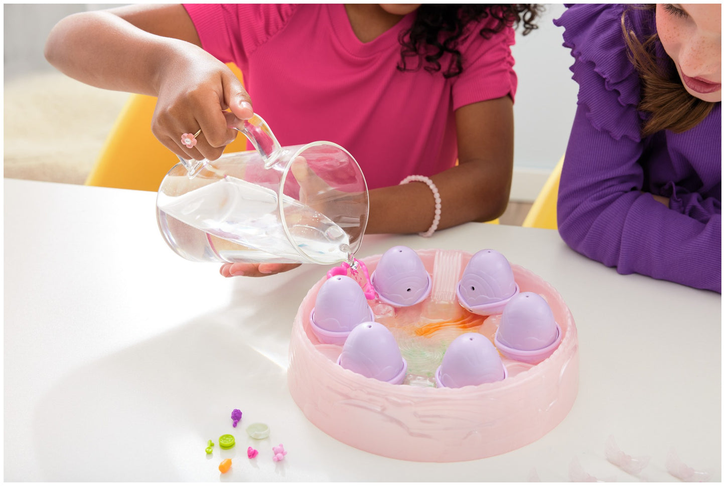 האצימל מדגרה קשת בענן