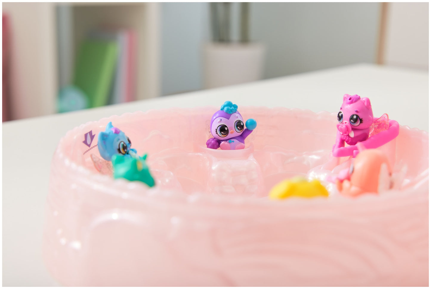 האצימל מדגרה קשת בענן