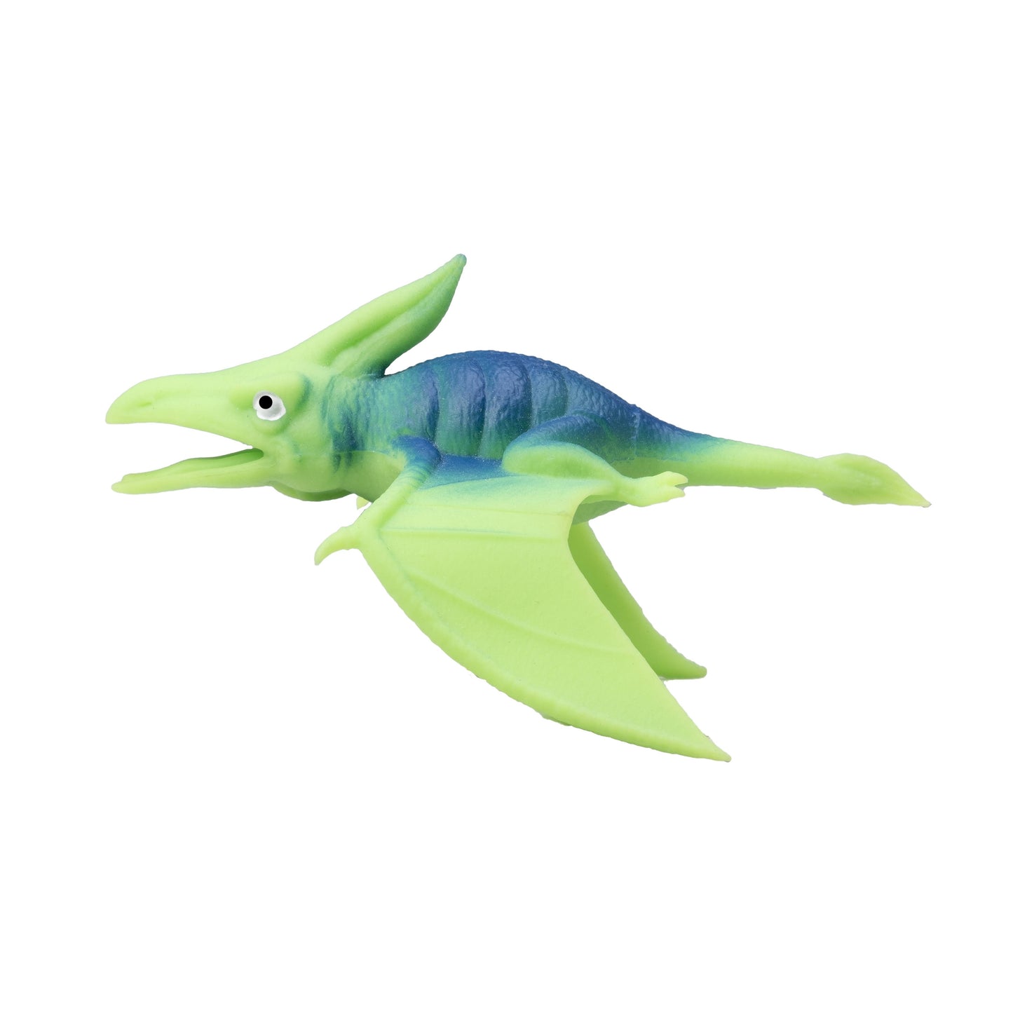 דינוזאור סקוושי