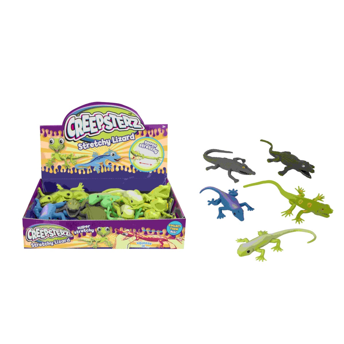 לטאה סקוושי