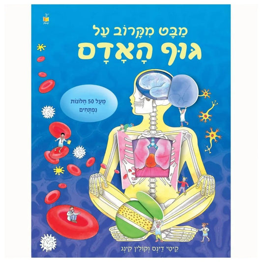 מבט מקרוב על-גוף האדם