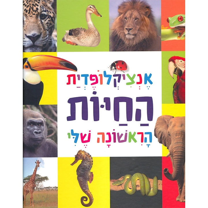 אנציקלופדיה חיות ראשונה