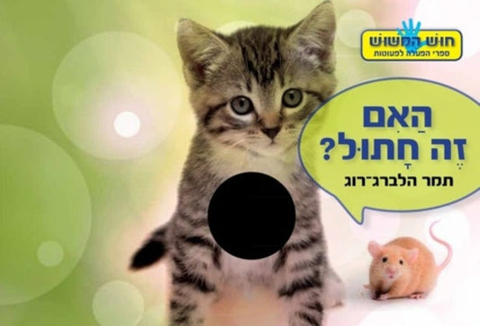 מישוש-האם זה חתול