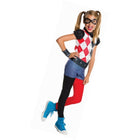 Harley Quinn costume -