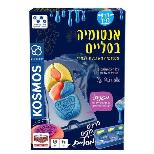 ערכות מדע: אנטומיה בסליים