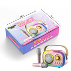 Karaoke Kit 2 Microphones - Pink