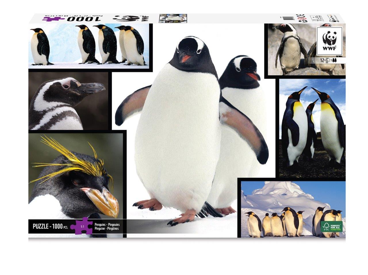 פאזל 1000 חלקים פינגווינים