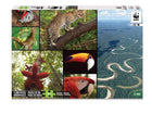 Amazon 48-Piece Floor Puzzle