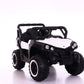 רכב ממונע לילדים מיני 12 RZR